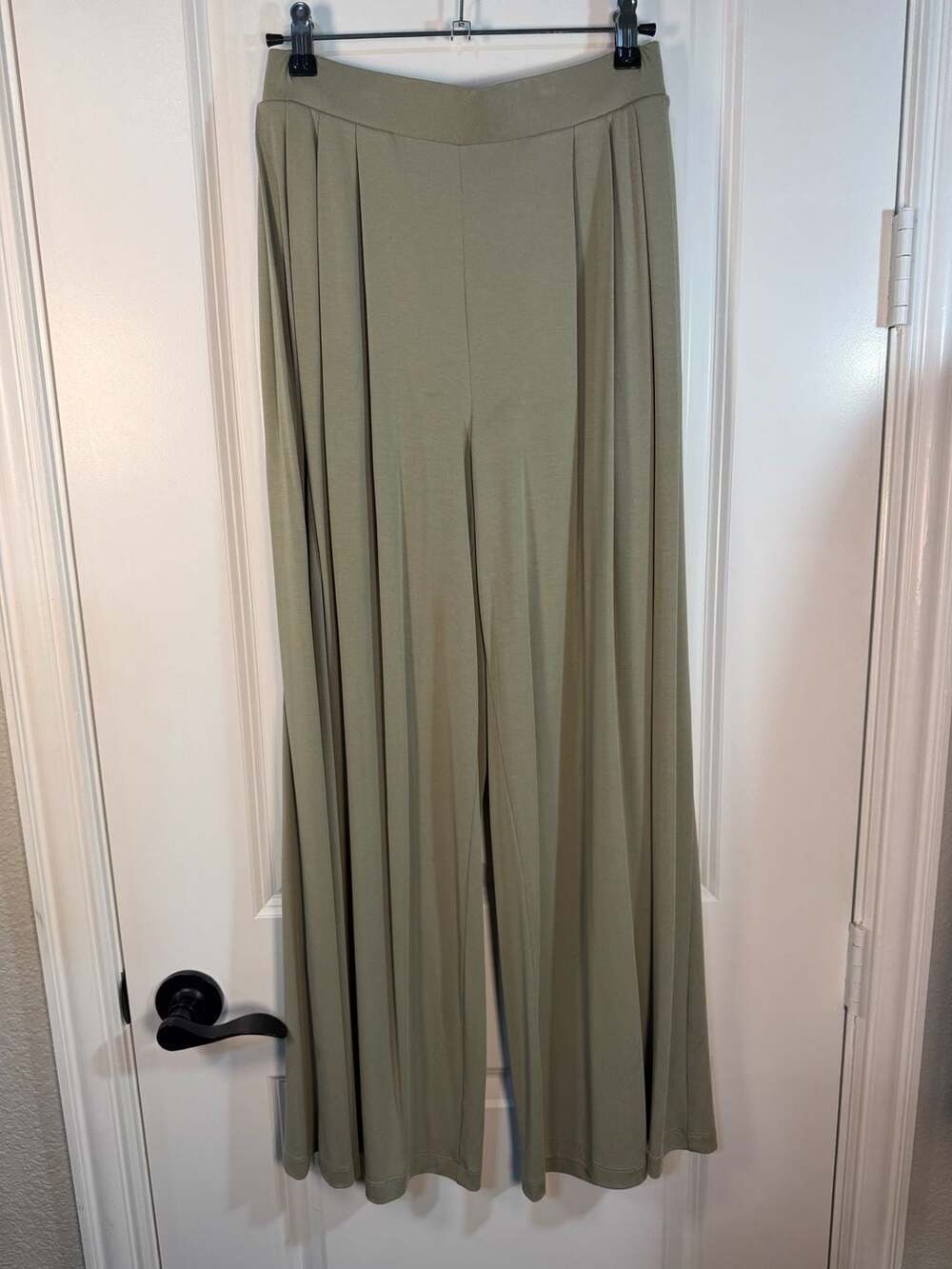 CALIA Women's Sandwash Pleated Wide Leg Pants Sage Green Size XS